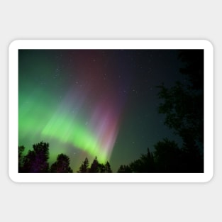 Northern Lights - Green and Pink Sticker